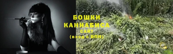 амф Бронницы
