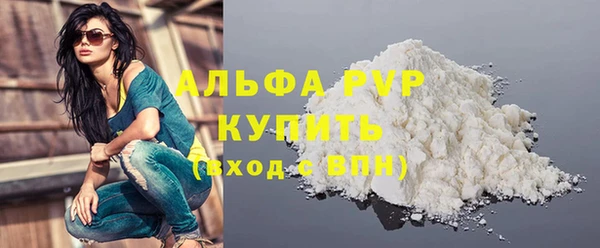 СК Богородицк