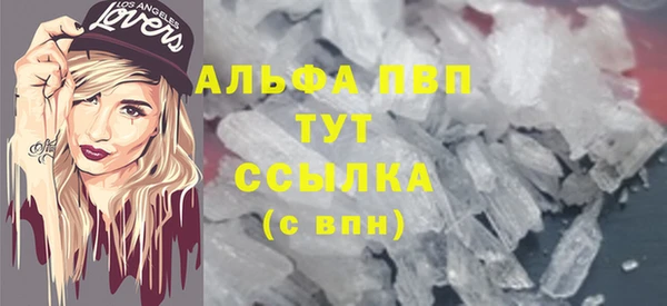 ГАЛЛЮЦИНОГЕННЫЕ ГРИБЫ Бородино