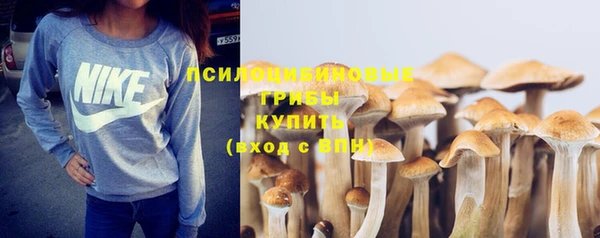 ГАЛЛЮЦИНОГЕННЫЕ ГРИБЫ Бородино