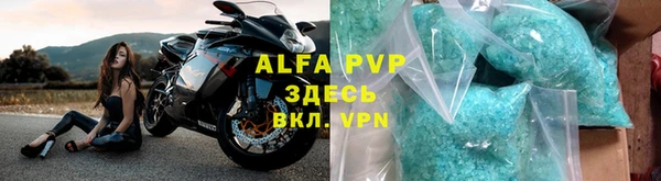 ГАЛЛЮЦИНОГЕННЫЕ ГРИБЫ Белокуриха