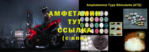 ГАЛЛЮЦИНОГЕННЫЕ ГРИБЫ Бородино