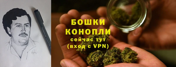 СК Богородицк