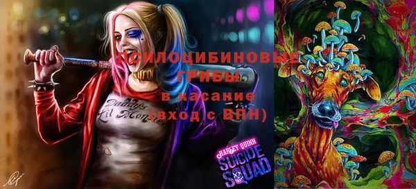 СК Богородицк