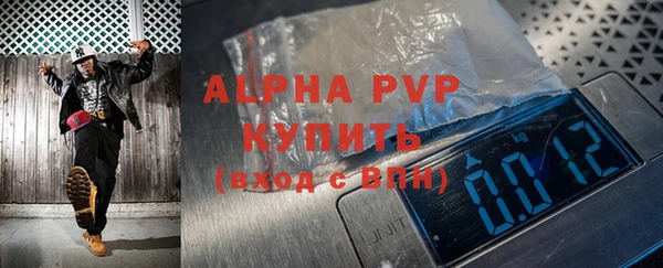 ГАЛЛЮЦИНОГЕННЫЕ ГРИБЫ Бородино