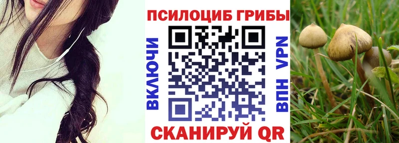 Псилоцибиновые грибы Psilocybe  Волчанск 